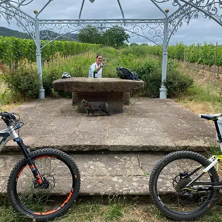 Weinquartier Minges Hotel