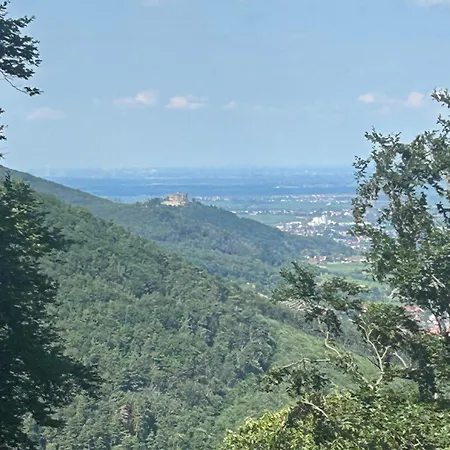 Weinquartier Minges Kirrweiler (Sudliche Weinstrasse)