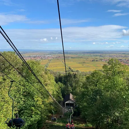 Weinquartier Minges Hotel