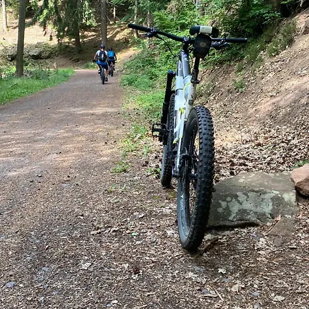 Weinquartier Minges Hotel 3*