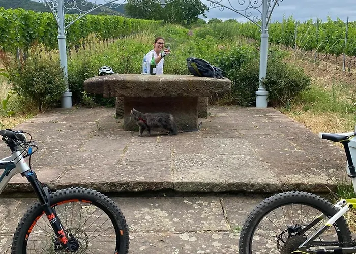 Weinquartier Minges Hotel