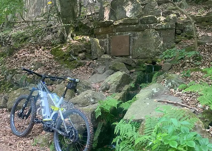 Hotel Weinquartier Minges Kirrweiler (Sudliche Weinstrasse)