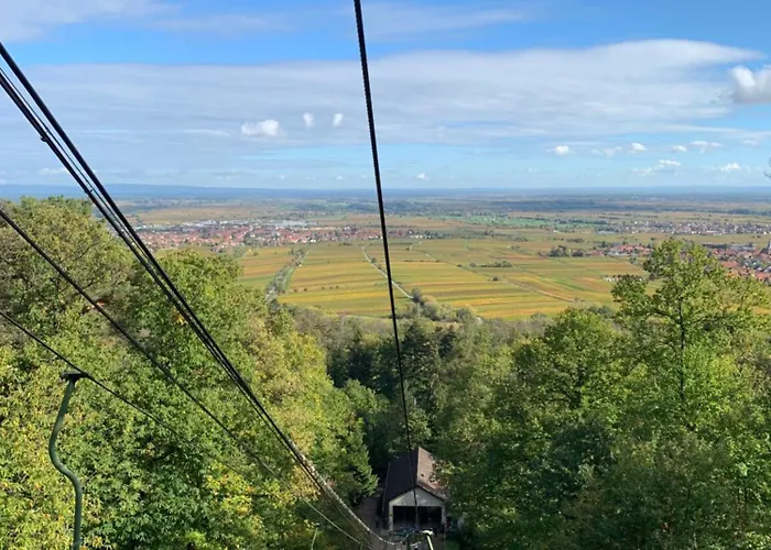 Weinquartier Minges Hotel