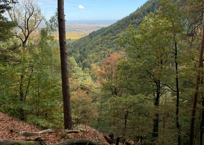 Hotel Weinquartier Minges